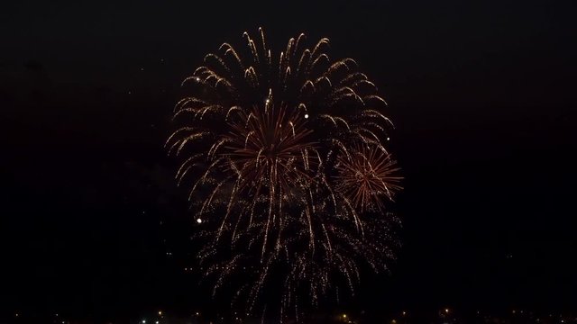 the fireworks in the night sky