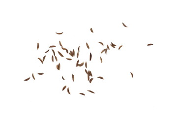 Cumin seeds or caraway isolated on white background
