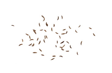 Cumin seeds or caraway isolated on white background