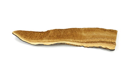 Dried lingzhi mushroom (Also called as Reishi mushroom in Japan, Lingcheu in Thailand, Lingzhi mushroom in China, Ganoderma Lucidum Karst or lacquered mushroom) on white.
