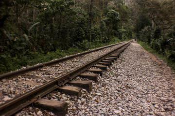 railway in the forest