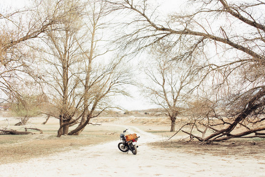 motorcycle located on narrow countryside road in dry field during trip in nature
