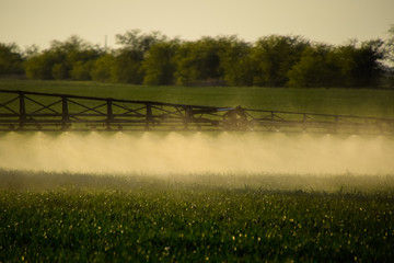 Jets of liquid fertilizer from the tractor sprayer.