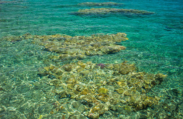 Naklejka na ściany i meble coral beach and tropic aquamarine transparent clear water in Red sea, ecology tropic nature background environment 