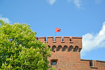 The red flag flutters over Don tower in the spring afternoon. Kaliningrad