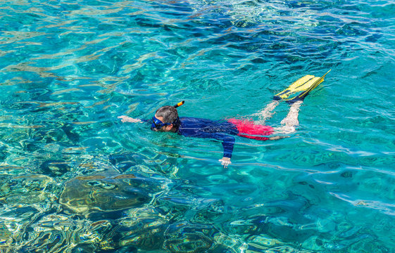 swimming and snorkeling guy in mask and tube elementary equipment, tropic aquamarine clean transparent water of Red sea natural ecological environment, summer vacation activities picture, copy space 