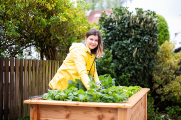 Eine junge Frau bei der Gartenarbeit an einem Hochbeet an einem regnerischen Tag