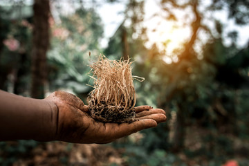 green earth and plant, concept love world.