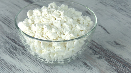 A group of environmentally friendly non-GMO dairy products, yogurt, cottage cheese, sour cream and cheese on the bottom of the pod.