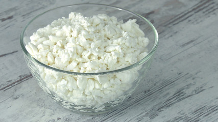 A group of environmentally friendly non-GMO dairy products, yogurt, cottage cheese, sour cream and cheese on the bottom of the pod.
