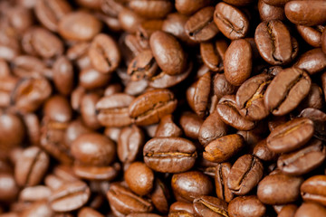 Freshly ground coffee beans roasted with the fruits of the coffee plant, full of grains.
