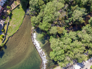 river in the forest