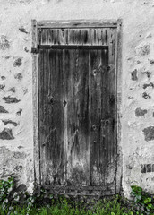 Old wooden door, black and white picture with green grass