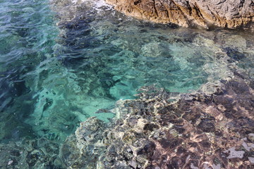 Clear sea water at Plavi horizonti beach (Montenegro)