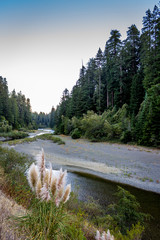 Eel River Drought Year