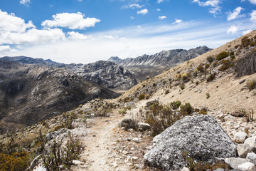 Path towards the mountains, Trekking on the Venezuelan Andes, Mérida, Venezuela