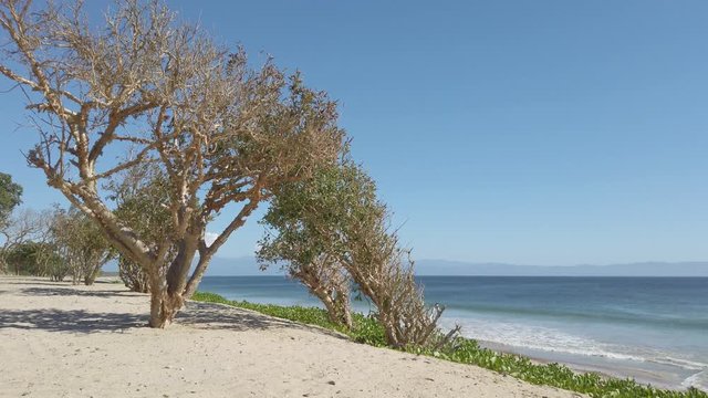Punta Mita 3