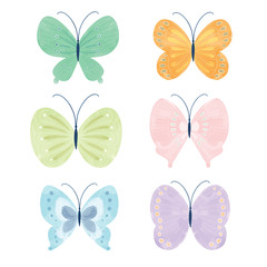 cute pastel color butterfly set