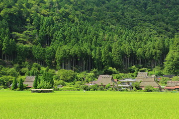 京都 田舎の風景 美山 農村 日本 Wall Mural Wallpaper Murals Vitamin