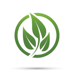 Green leaf logo,ecology nature.Vector illustration