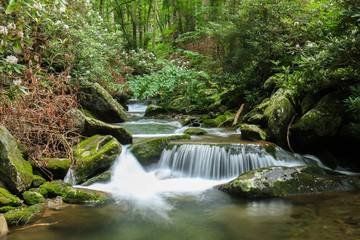 Little River Trail Tributary - Great Smoky Mountains National Park - Tennessee
