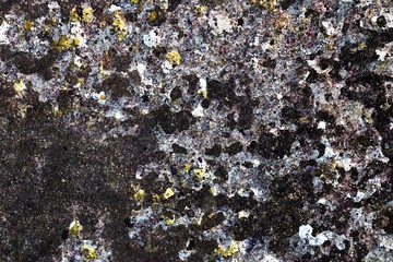 Detailed close up surface of  cracked and weathered concrete walls in high resolution