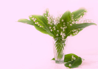 A bouquet of lilies of the valley in a vase on a pink background. Isolated, selective focus, copy space.