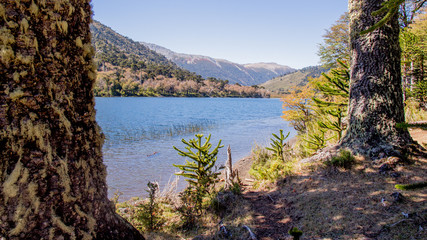 Lago huesquefilo, Araucanía, Chile 