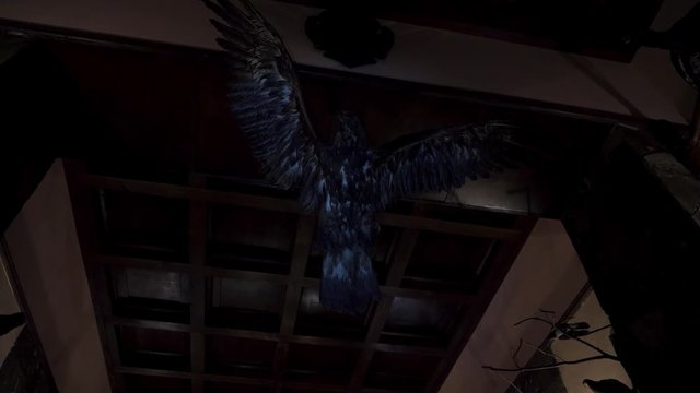 on a stuffed eagle on the ceiling, turn on the light from the flashlight and then turn off
