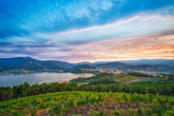 viewpoint from a vineyard with a beautiful landscape at sunset, where you can see mountains and a...