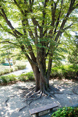 Goryeogung Palace Site is the site of the royal palace during the Goryeo Dynasty.