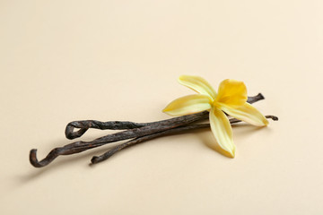 Vanilla sticks and flower on color background. Space for text