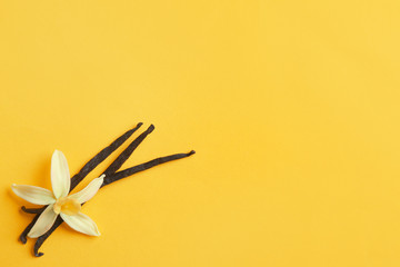 Flat lay composition with vanilla sticks and flower on yellow background. Space for text
