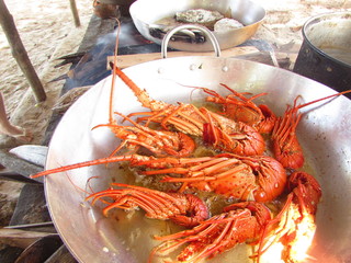 Camarones