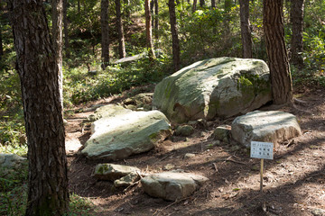 Dolmens in Ganghwa-gun, south korea.