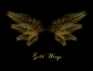 Gold Wings - Fairy Wings of Inspiration - Concept Vector Element Isolated on Black