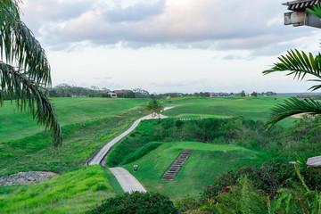 Dye Fore Afternoon