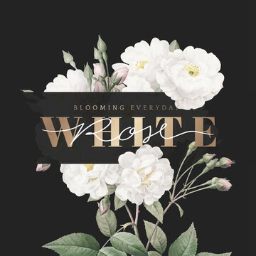 White roses inspirational card design