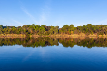 Trees reflecting in water under vivid blue sky with copy space