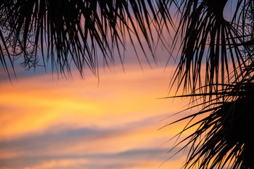 colorfull sunset over the sea