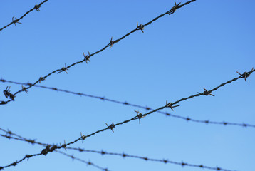 barbed wire