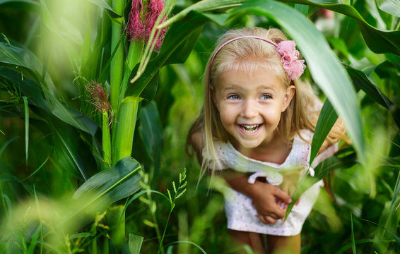 Portrait of Adorable Little girl in a corn field on beautiful autumn day. Harvesting with kids. Autumn activities for children.