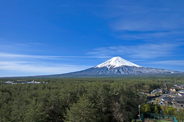 Fototapeta premium 富士山
