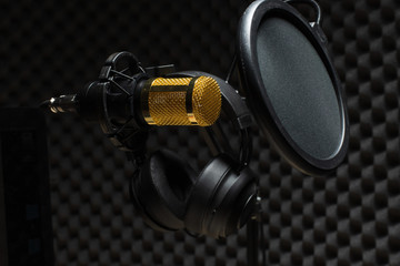 Microphone Condenser, gold mic hang over sound absorbing wall room with wave monitor keyboard mouse...
