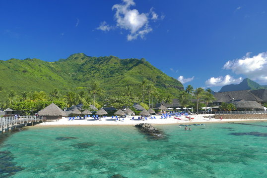 lagon de moorea polynesie fran&ccedil;aise