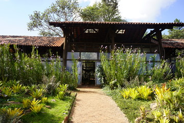 Flowers, trees and plants in Brasilia Botanical Garden in Brazil.