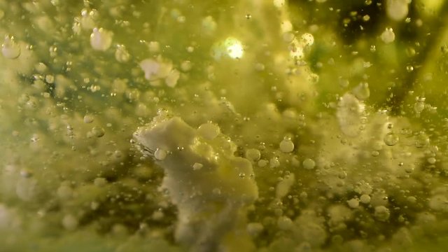 alien botany plant with falling debris and bubble movement 60fps