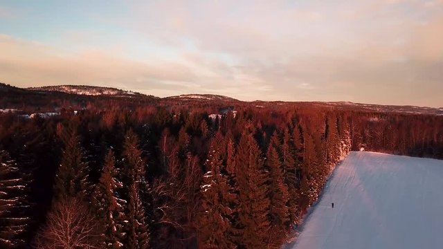 Sunrise over the forest and pink sky in Norway