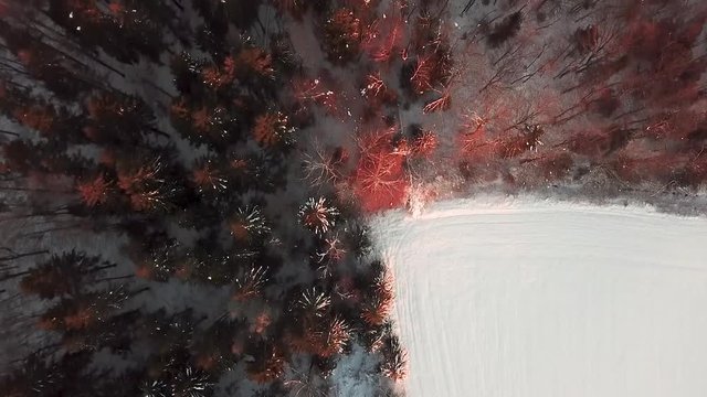 Beautiful sunrise over Norwegian forest. DRONE SHOT