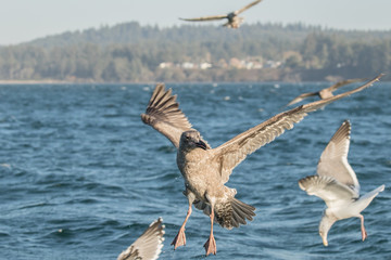 Waiting For a Handout